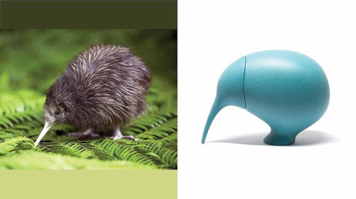 ecoBirdy's Kiwi Container design, inspired by the bird species